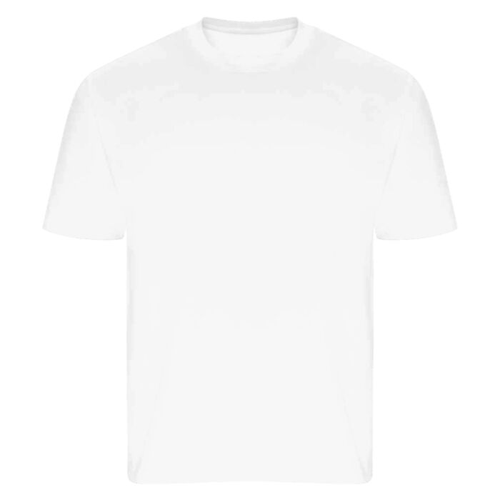 AWDis Ecologie Ecologie Arrow Recycled Heavy Oversize T-Shirt EA006 Ecologie Arrow Recycled Heavy Oversize T-Shirt Thumbnail