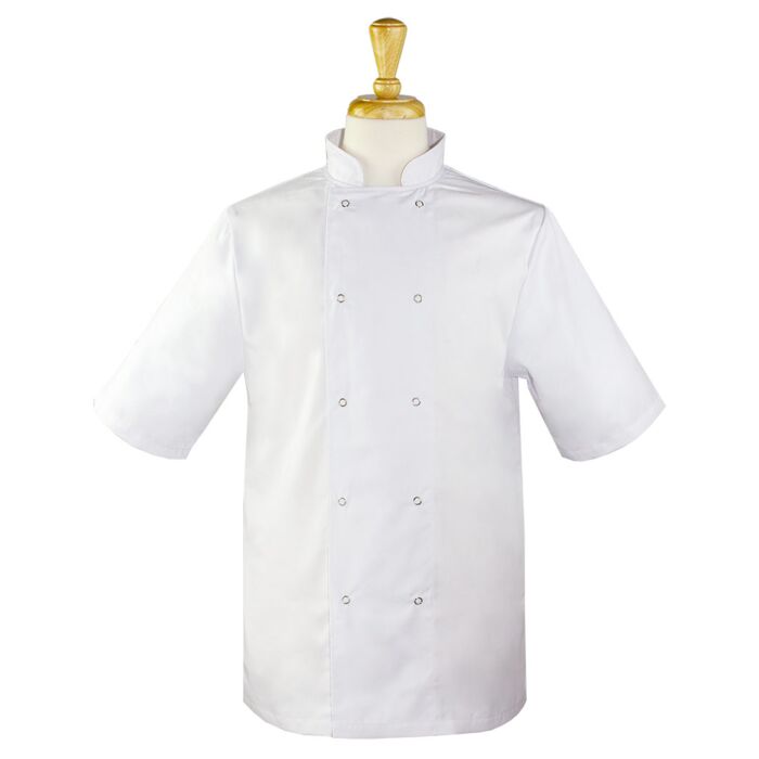 Short Sleeve Chefs Jacket Thumbnail
